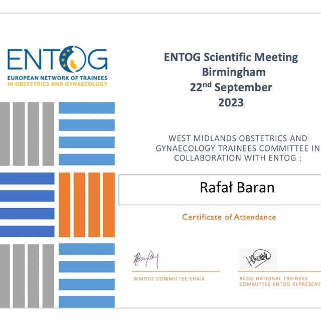 Powiększ obraz: certificate 11