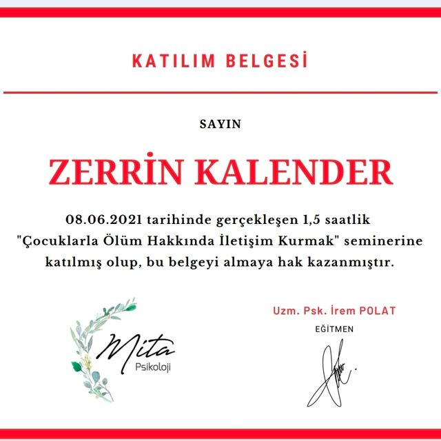 Resmi büyüt: certificate 8