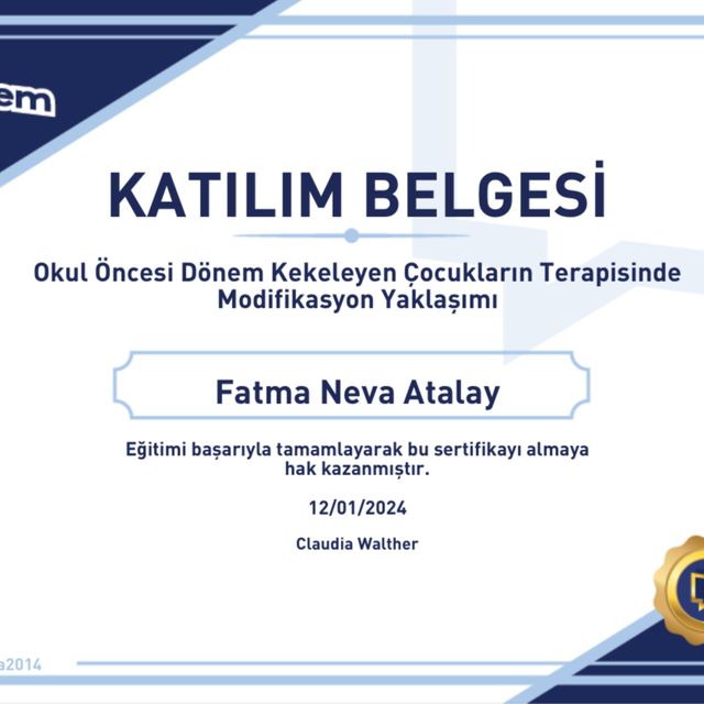 Resmi büyüt: certificate 11