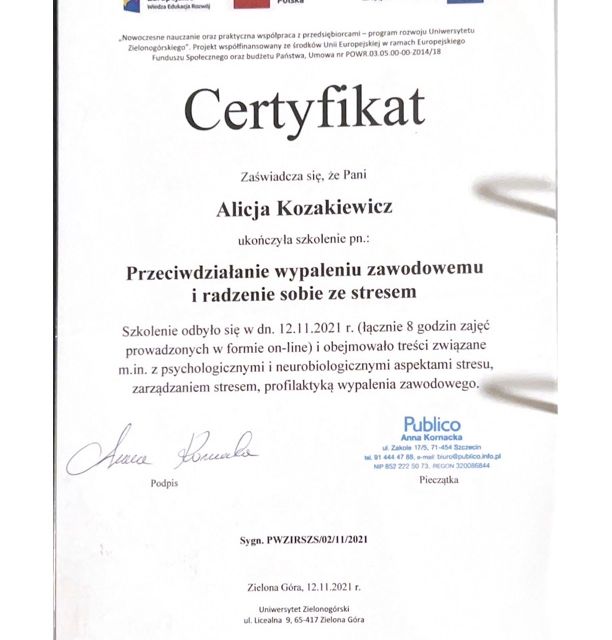Powiększ obraz: certificate 26