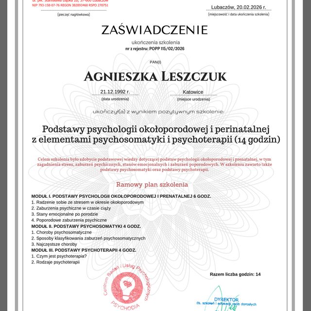 Powiększ obraz: certificate 6