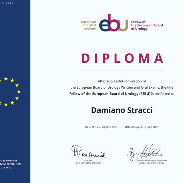 Ingrandire l'immagine: certificate 1