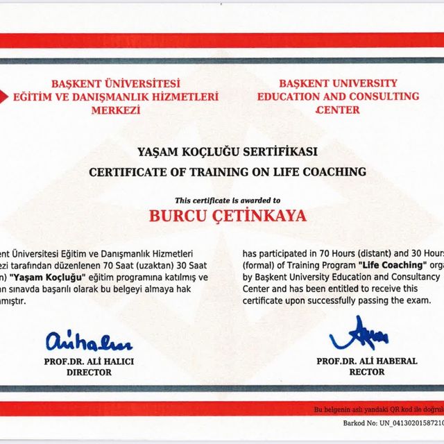 Resmi büyüt: certificate 26