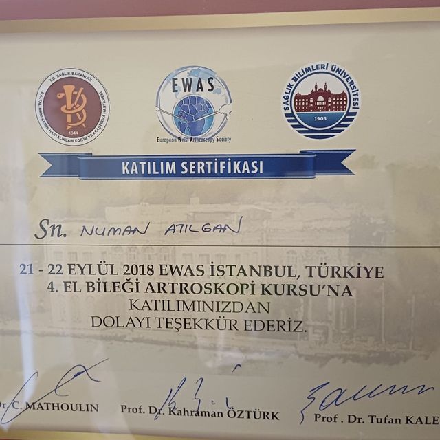 Resmi büyüt: certificate 6