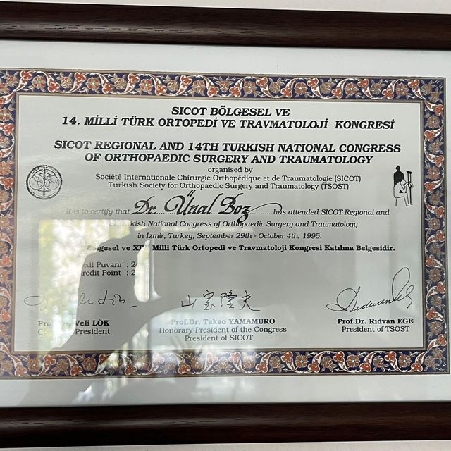 Resmi büyüt: certificate 8