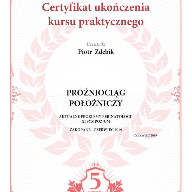 Powiększ obraz: certificate 9