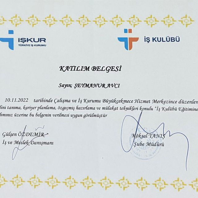 Resmi büyüt: certificate 6