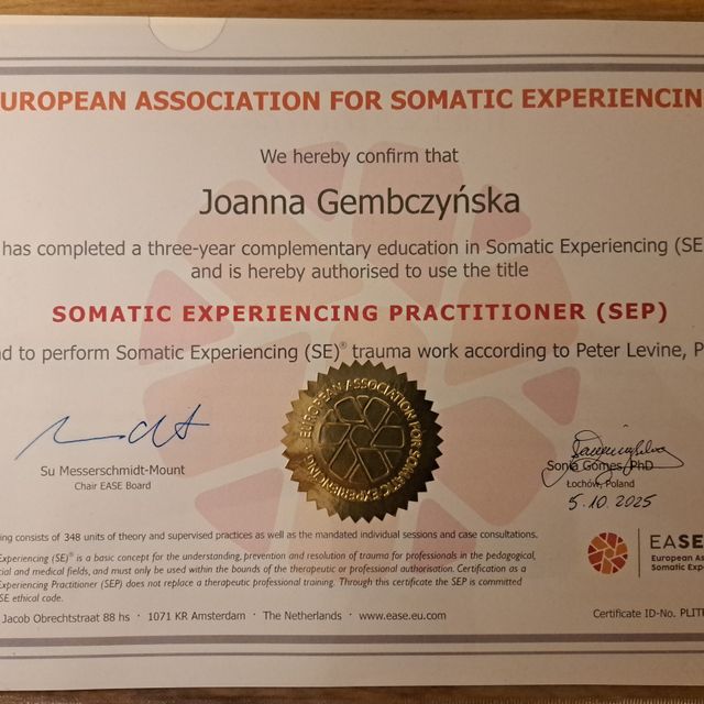 Powiększ obraz: certificate 1