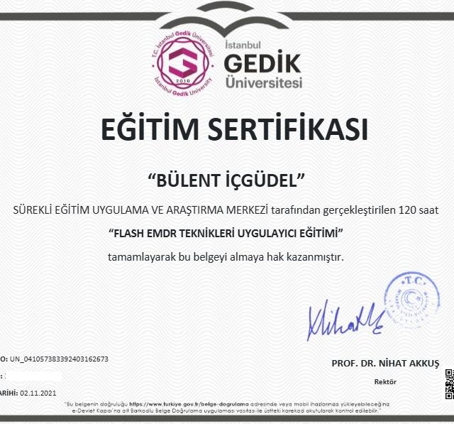Resmi büyüt: certificate 8