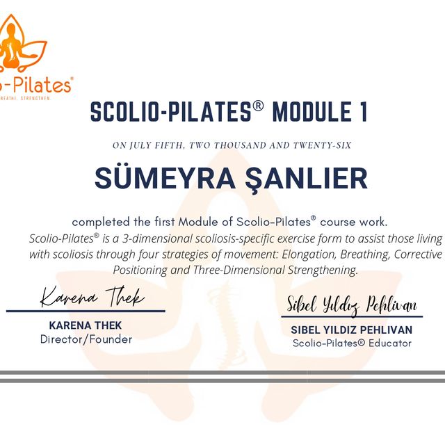 Resmi büyüt: certificate 6