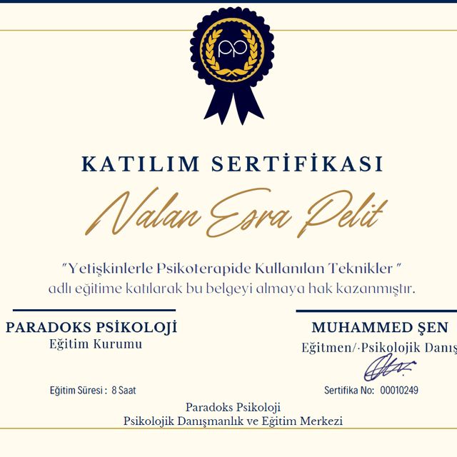 Resmi büyüt: certificate 2