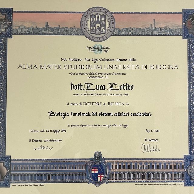 Ingrandire l'immagine: certificate 3