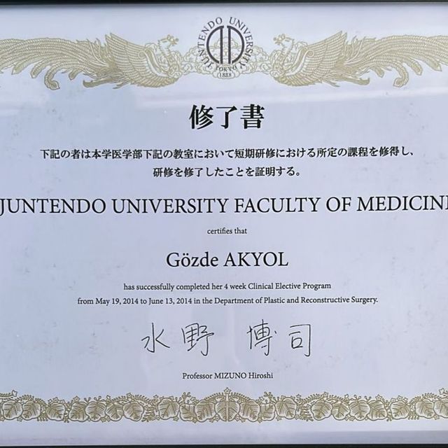 Resmi büyüt: certificate 1