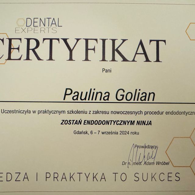 Powiększ obraz: certificate 1