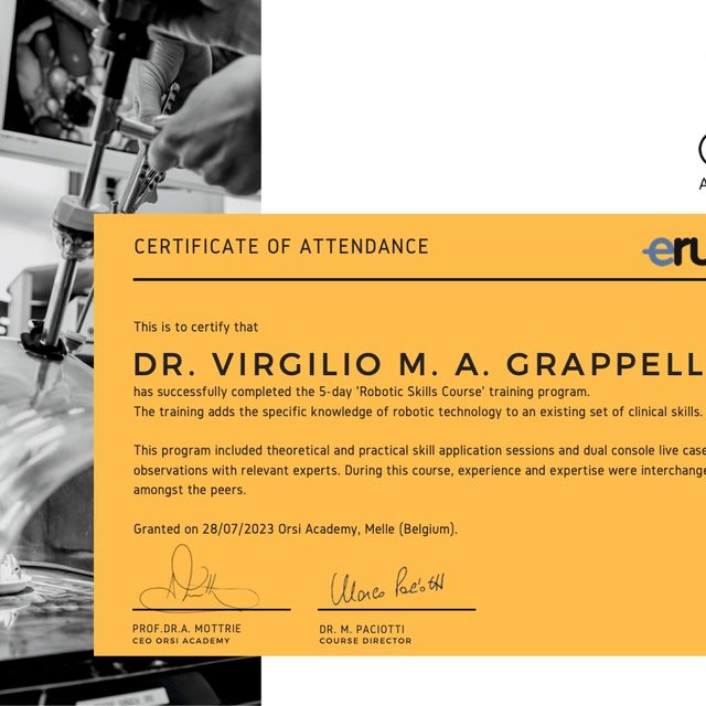 Ingrandire l'immagine: certificate 1