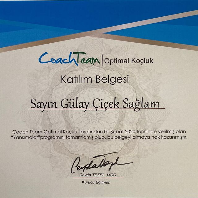 Resmi büyüt: certificate 2