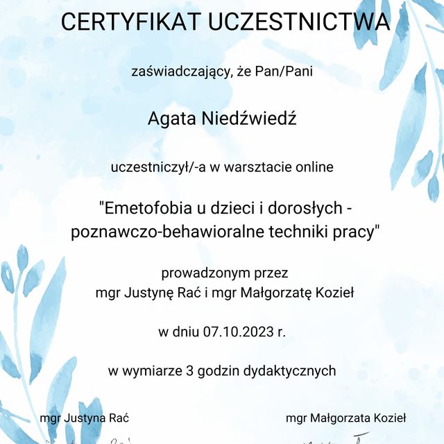 Powiększ obraz: certificate 1