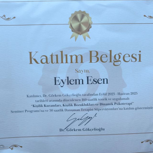 Resmi büyüt: certificate 16