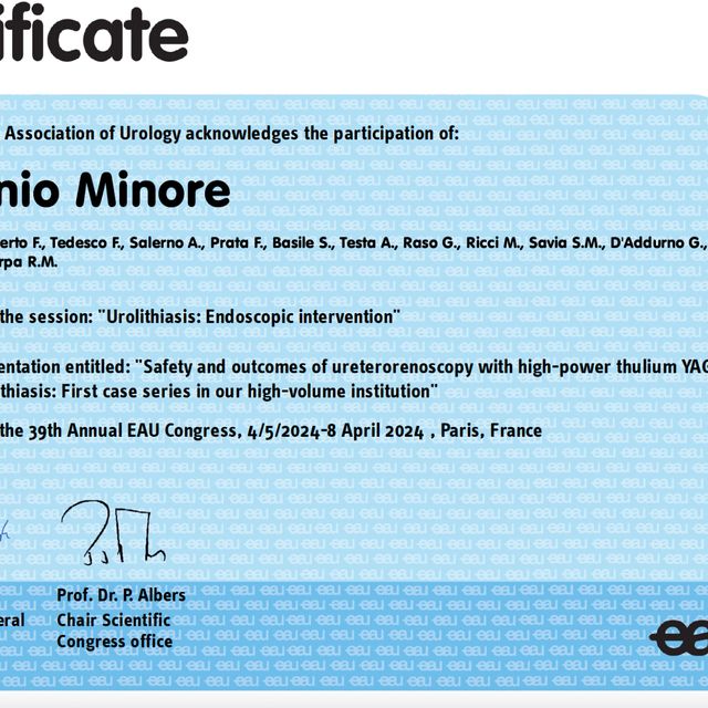 Ingrandire l'immagine: certificate 2