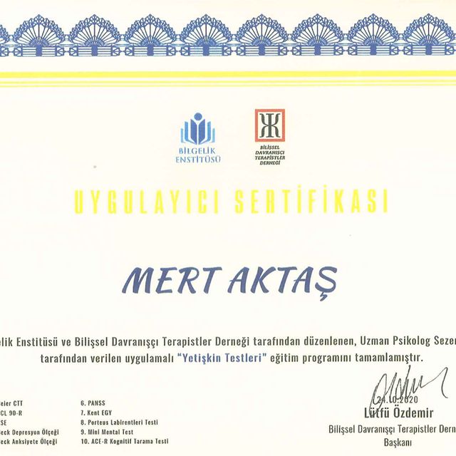 Resmi büyüt: certificate 3