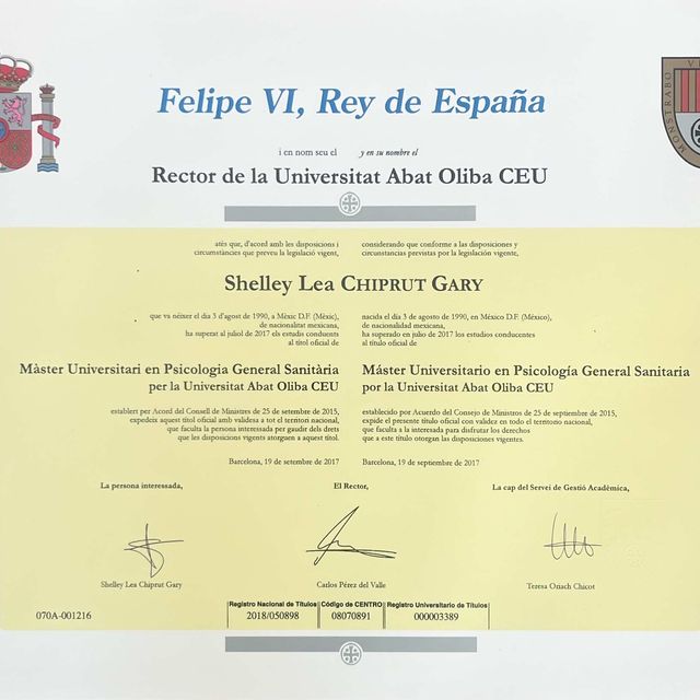 Acercar imagen: certificate 1