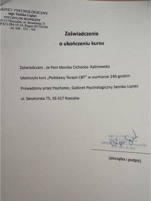 Powiększ obraz: certificate 1