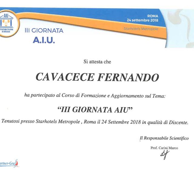 Ingrandire l'immagine: certificate 4