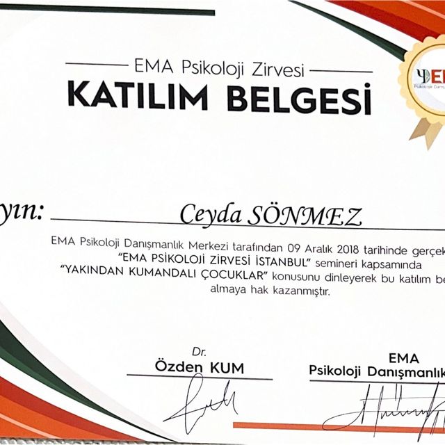 Resmi büyüt: certificate 12