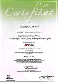 Powiększ obraz: certificate 9
