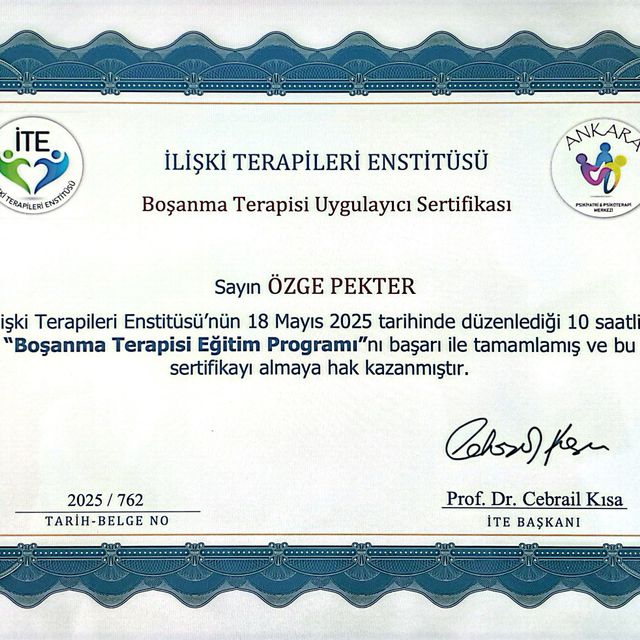 Resmi büyüt: certificate 11
