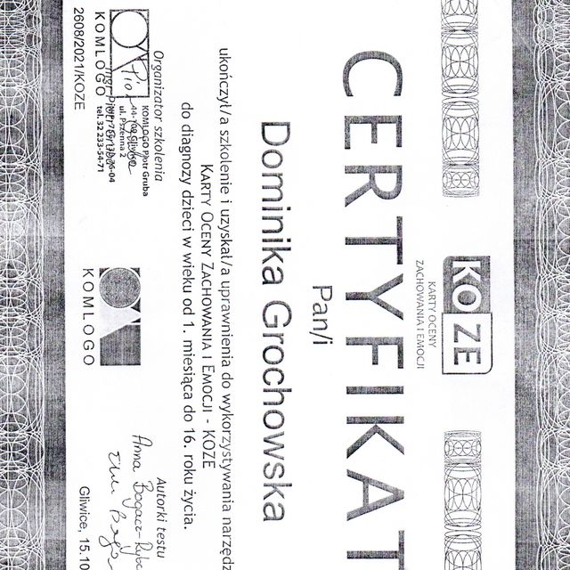 Powiększ obraz: certificate 3