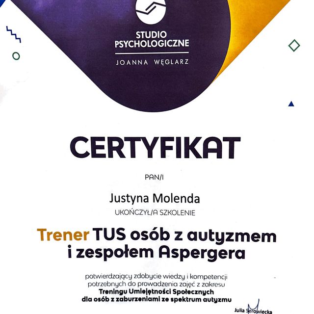 Powiększ obraz: certificate 6