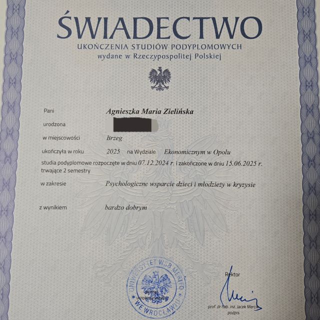 Powiększ obraz: certificate 1