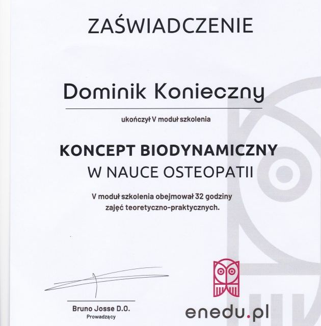 Powiększ obraz: certificate 29