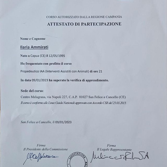 Ingrandire l'immagine: certificate 3