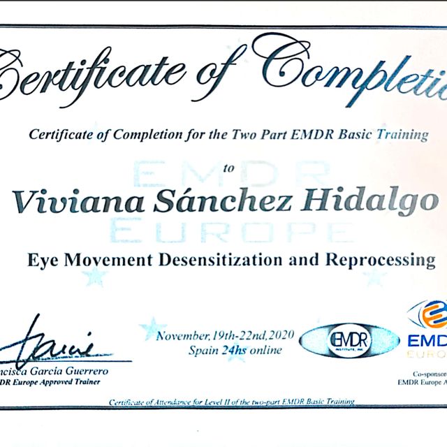 Acercar imagen: certificate 16