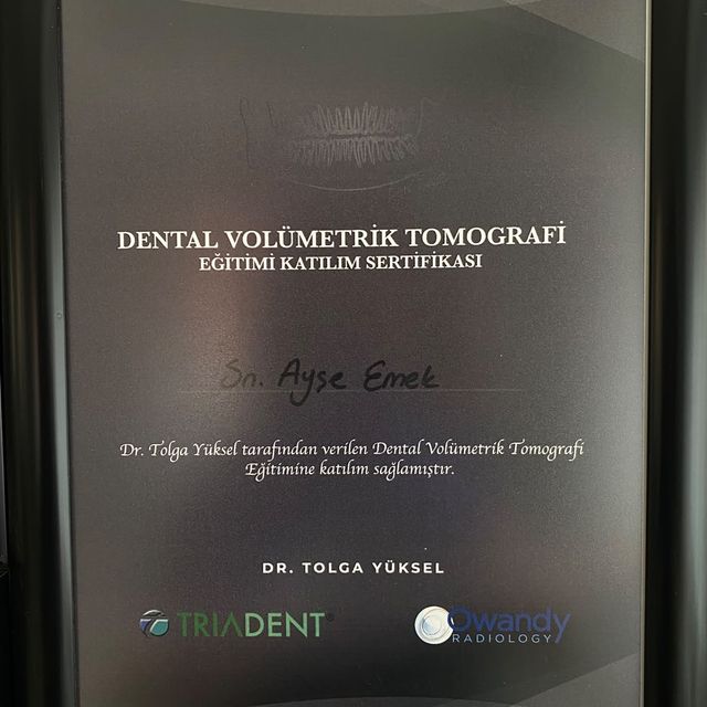 Resmi büyüt: certificate 1