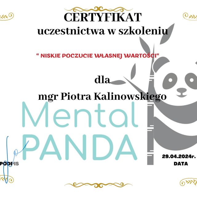 Powiększ obraz: certificate 3