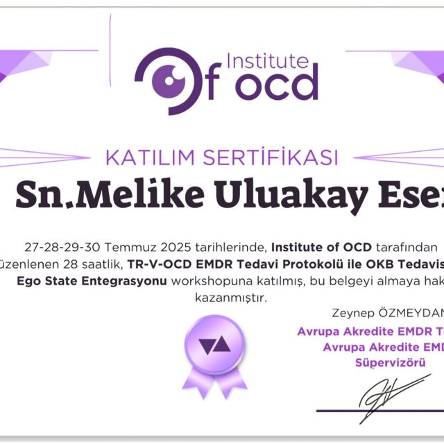 Resmi büyüt: certificate 3