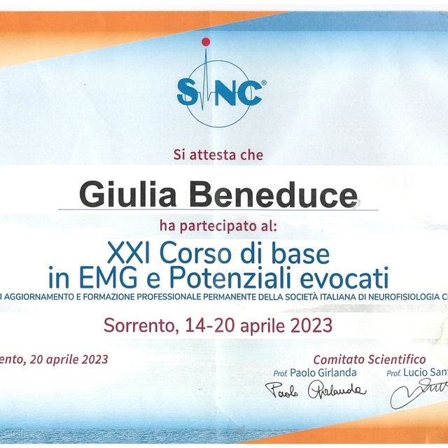 Ingrandire l'immagine: certificate 4