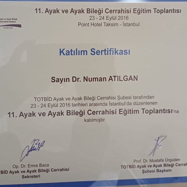Resmi büyüt: certificate 5