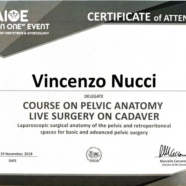 Ingrandire l'immagine: certificate 34