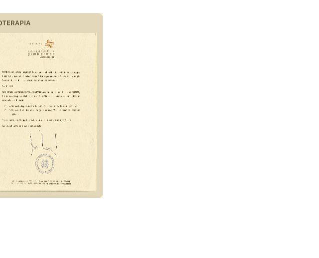 Acercar imagen: certificate 7