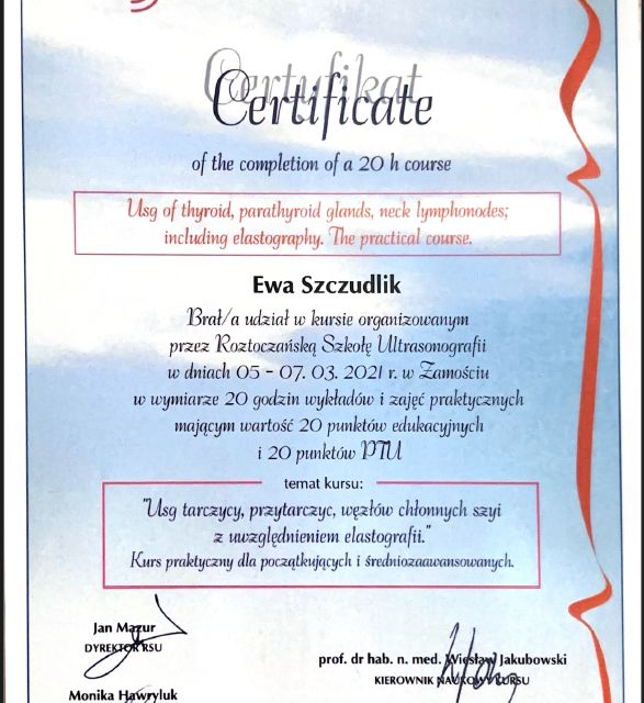Powiększ obraz: certificate 2