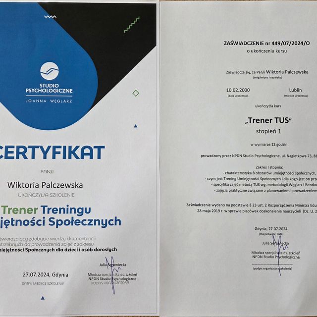 Powiększ obraz: certificate 1