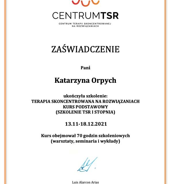 Powiększ obraz: certificate 1