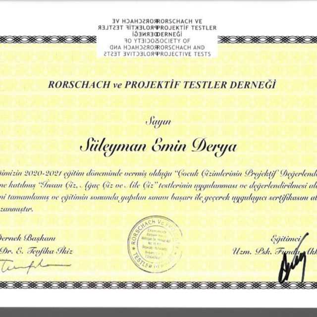 Resmi büyüt: certificate 13