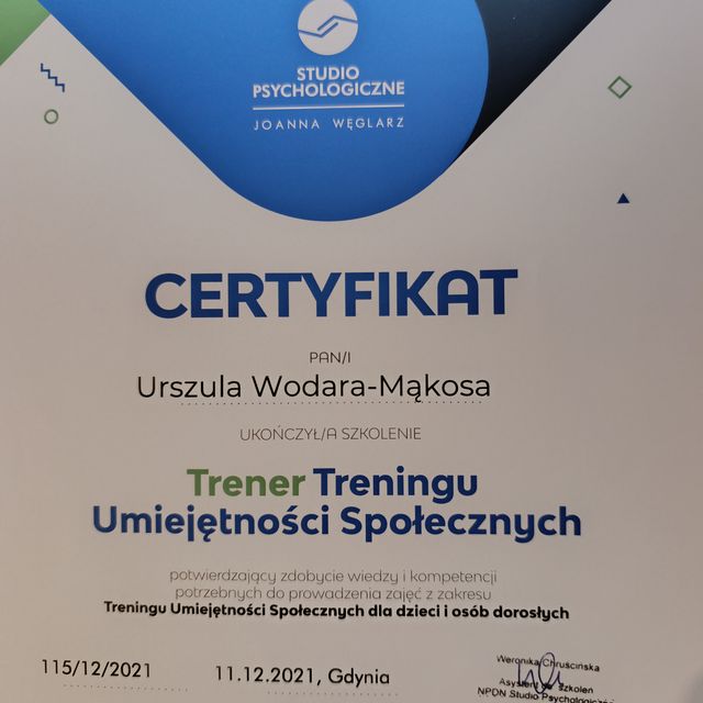 Powiększ obraz: certificate 2