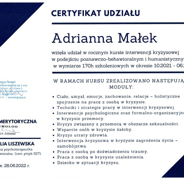 Powiększ obraz: certificate 1