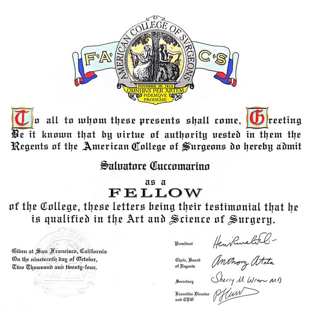 Ingrandire l'immagine: certificate 1